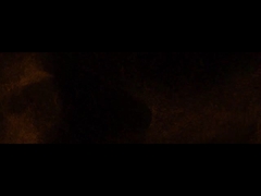 Fadior Şirketi Resmi