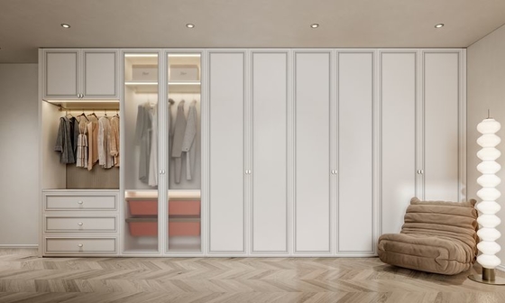Modern Minimalist Dolap, Şık Beyaz Kapı Panelleri ve Kötü Donanım