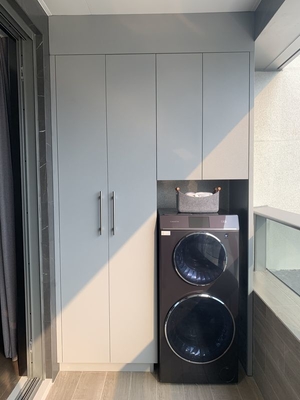 Çok fonksiyonel Alocasia Balkon Çamaşırhanesi Depolama Dolabı Yüksek dayanıklılık